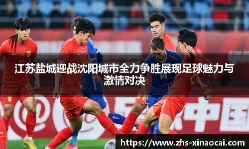 新澳彩公式
