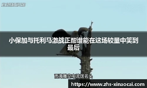 新澳彩