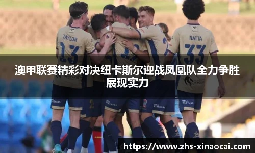 新澳彩公式